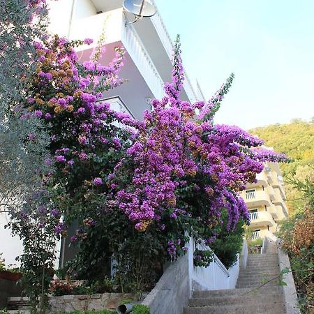 4M Apartments Petrovac Exterior foto
