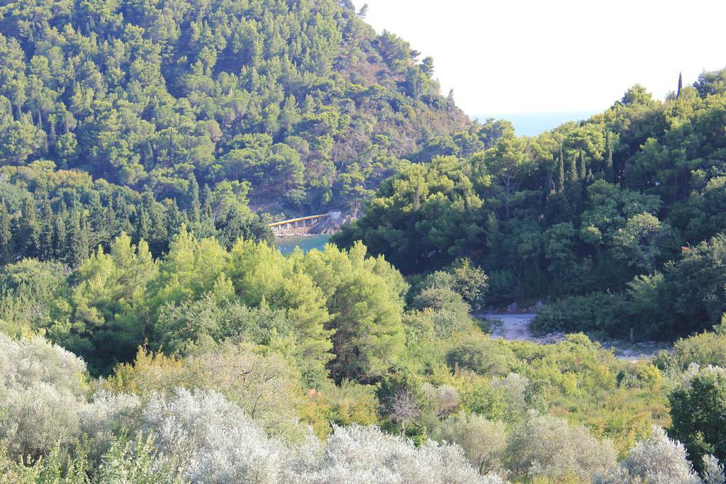 4M Apartments Petrovac Habitación foto